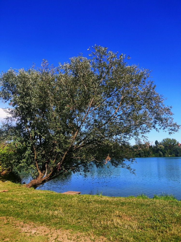 Un pomeriggio al Parco delle Cave