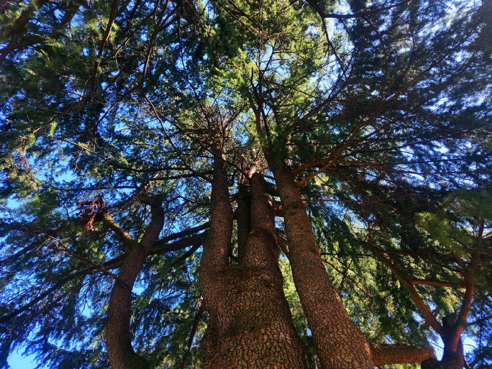 Un pomeriggio al Parco delle Cave