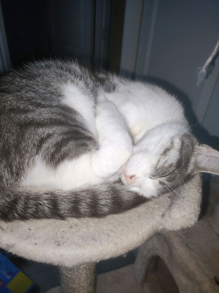 Je voudrais pouvoir dormir comme eux 😃