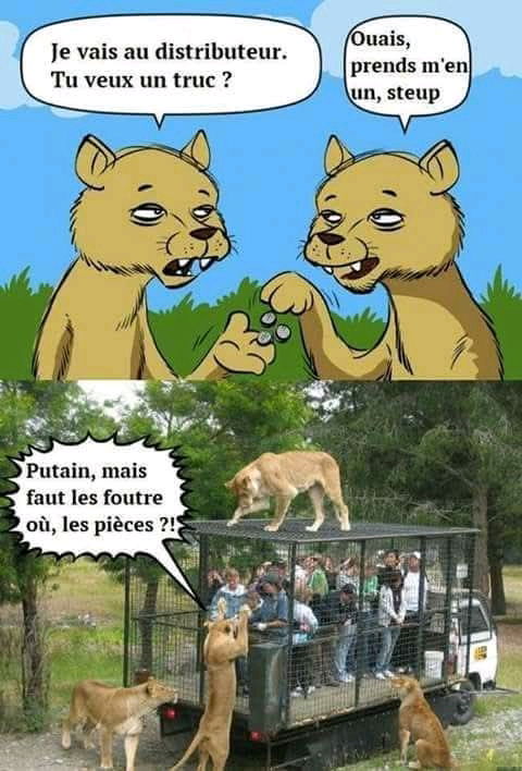 😅