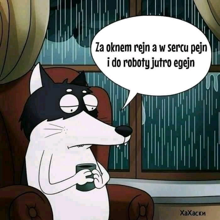 Co prawda teraz nie pada, ale reszta się zgadza