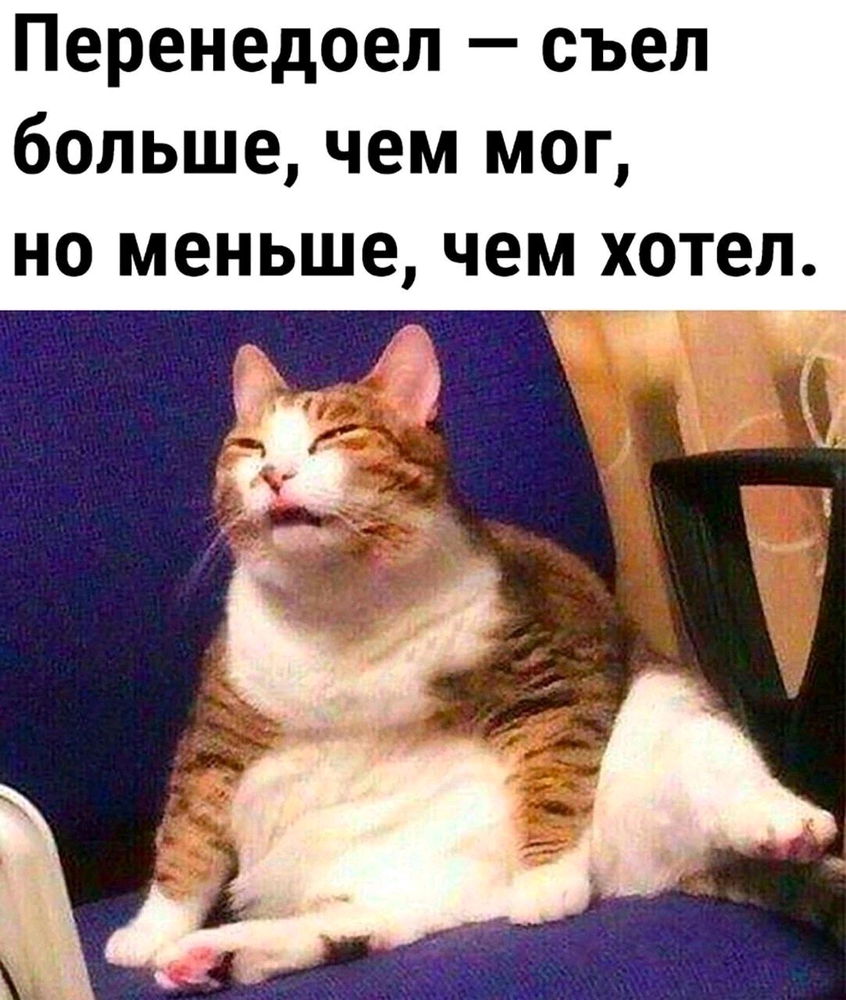 Перенедоел