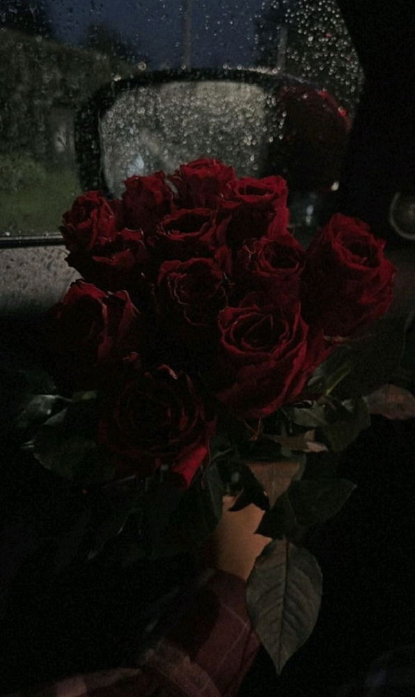 Roses 🥀