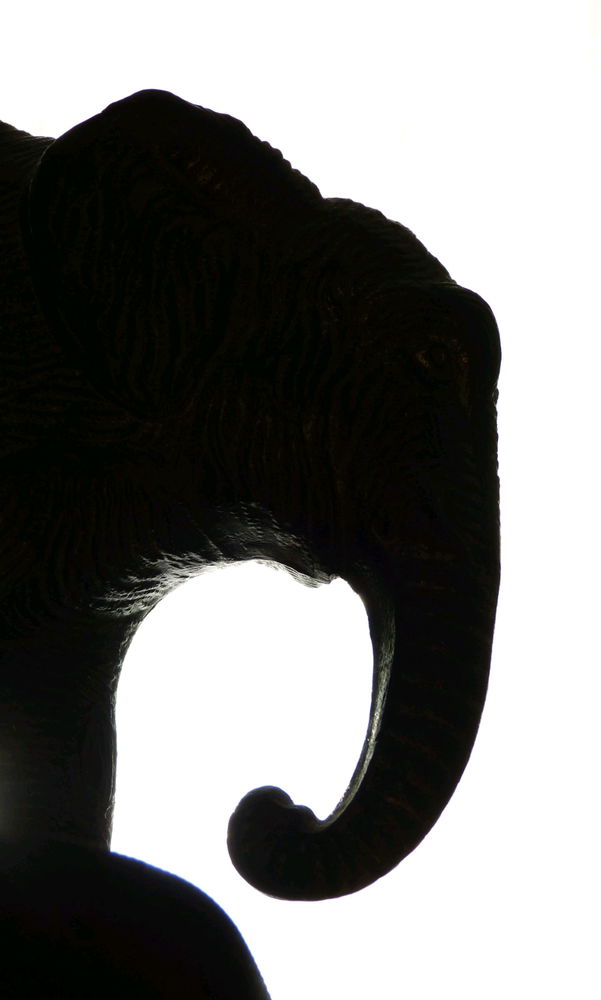 Elefant