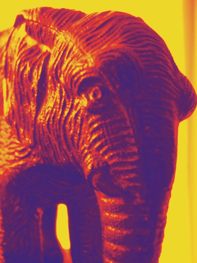 Elefant