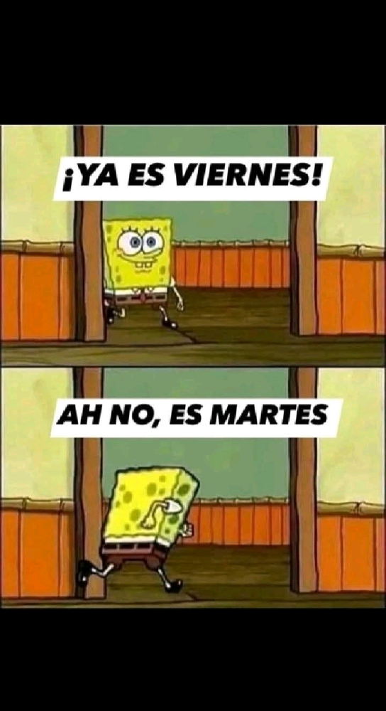 🤣🤣🤣