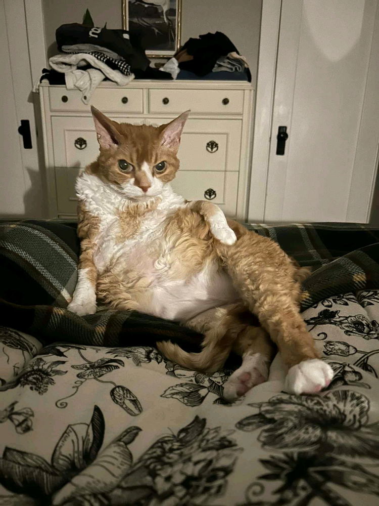 Waking up every morning like