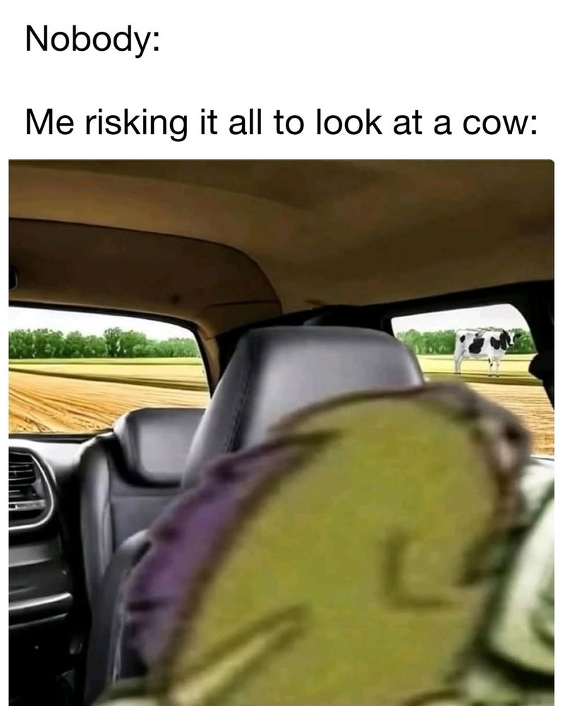 ❤️🐮