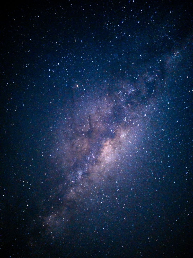La mejor foto que saque.