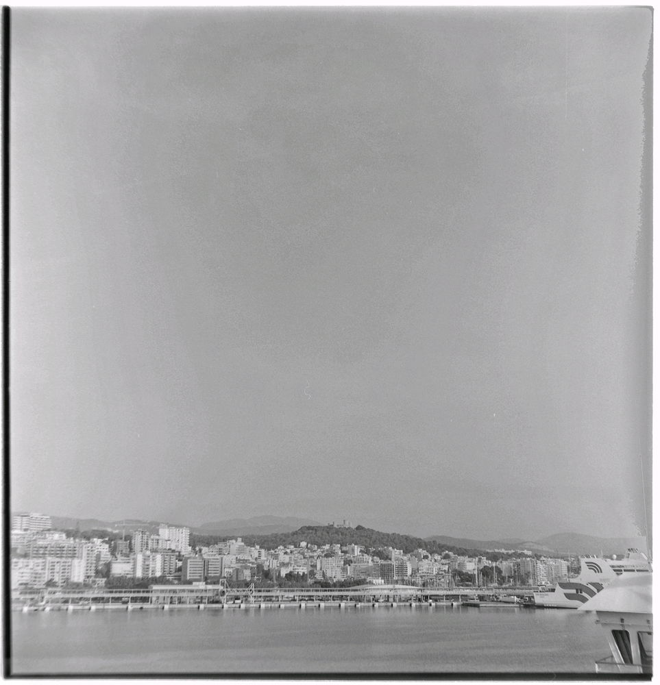 Palma, 2024