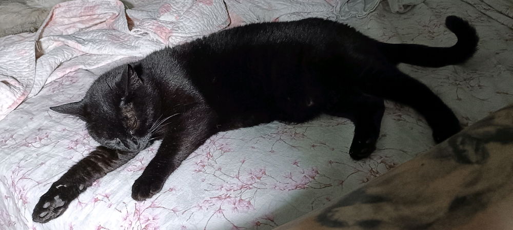 Posto letto rubato