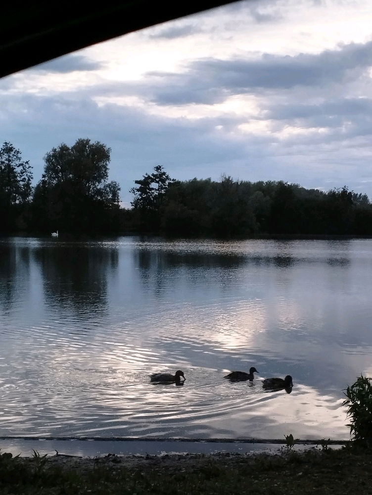 Petite ballade aux étangs 😊