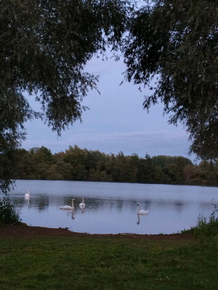 Petite ballade aux étangs 😊