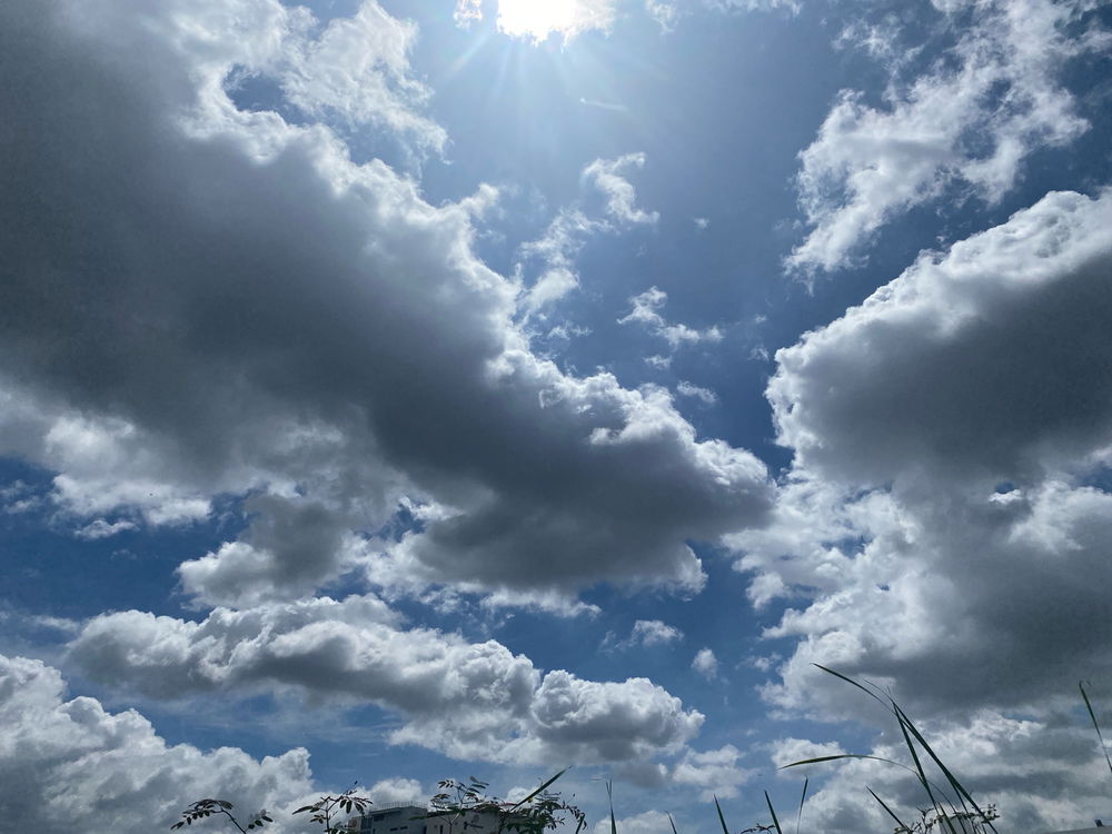 Watch the sky
