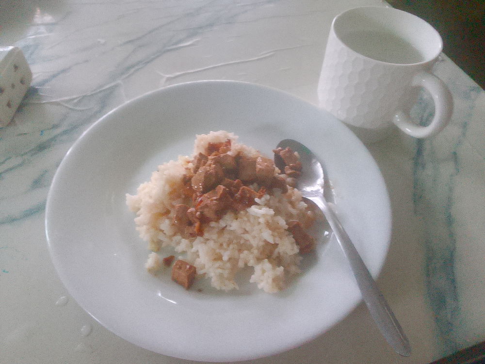 "fried rice tofu adobo"