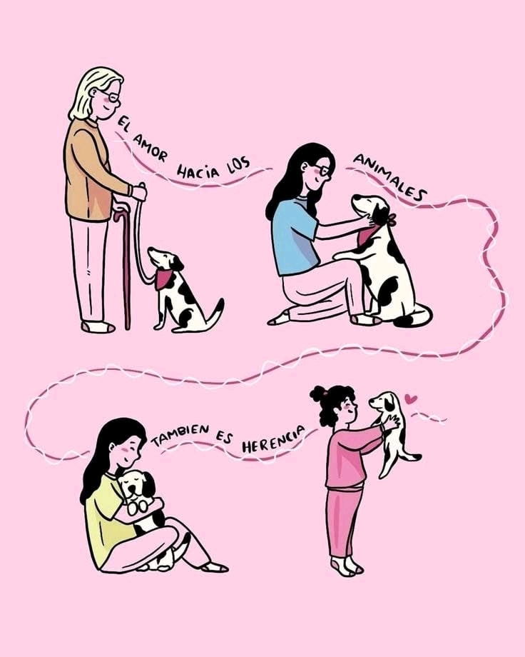 🐱🐶🐮🐴🦊🫎🦓