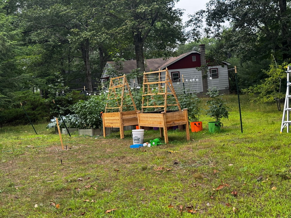 First year gardening