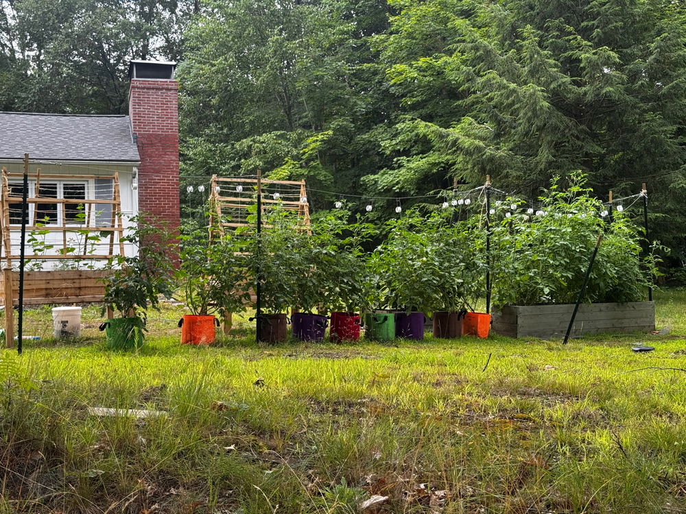 First year gardening