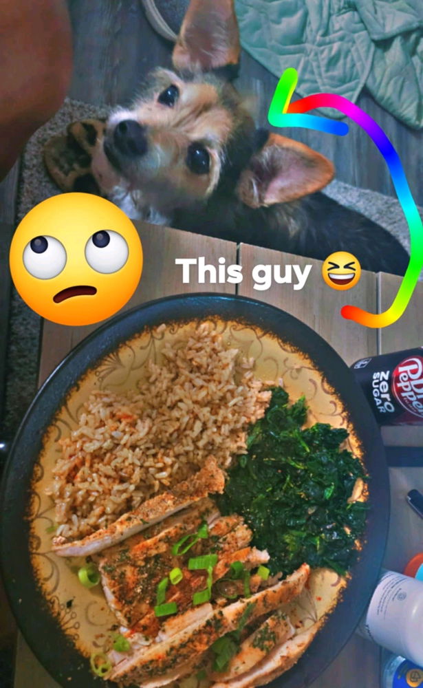 I should chill by his bowl when he eats 😆