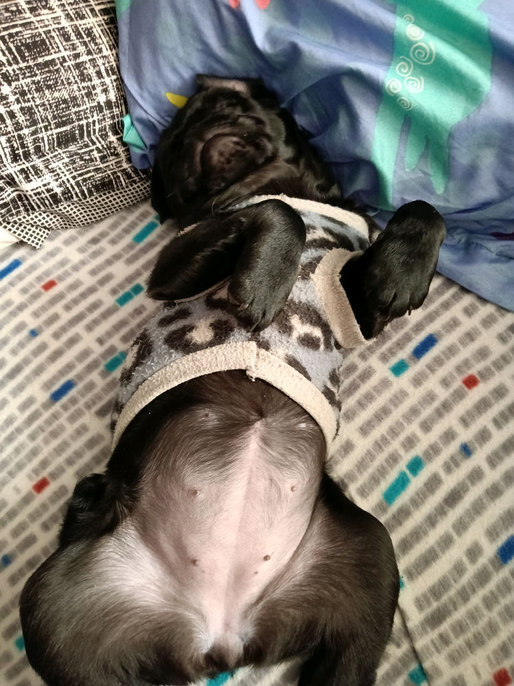 💖