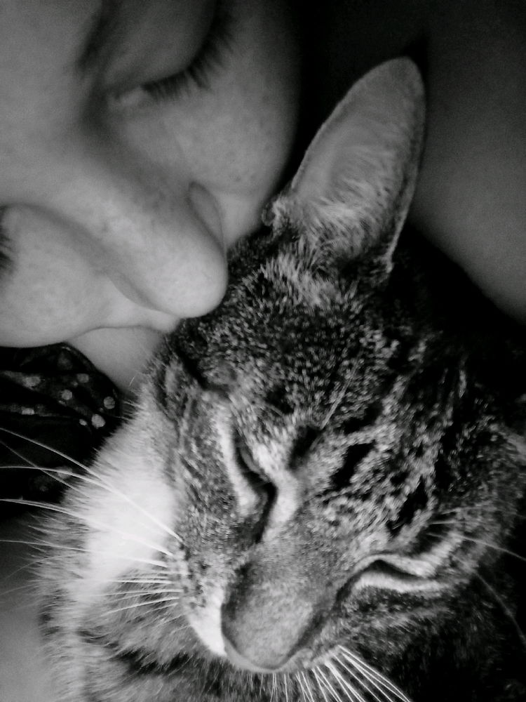 Cuddly Kitty Mornings!
🥰😻🖤🐾