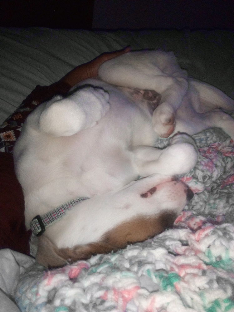 Cuddle time cuteness 