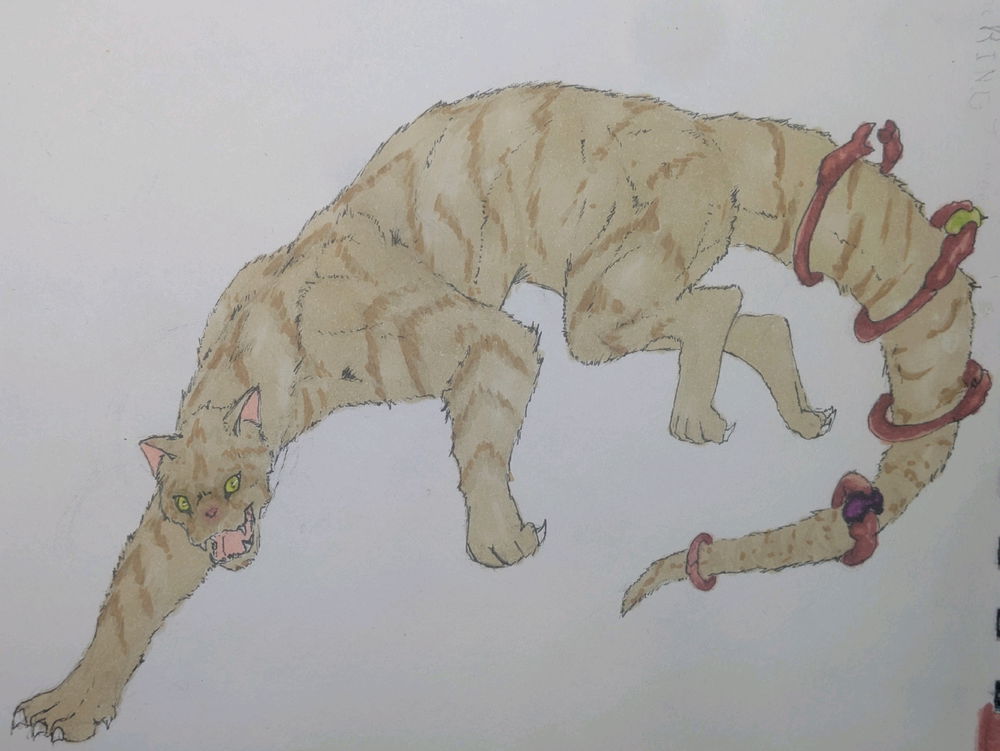 ‌
