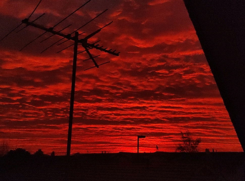 😶‍🌫️