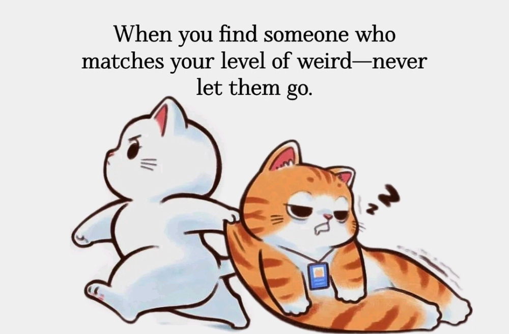 Find a weird... And be weird 
together...  That only both of you 
can understand... 💯🫡🤓🤭😆