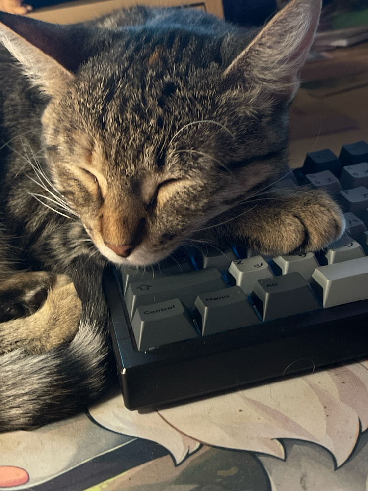 Meow