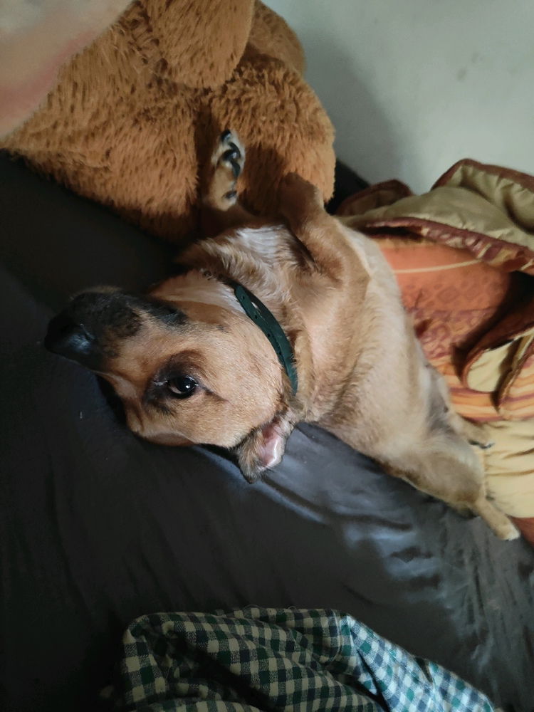 She's just enjoying herself