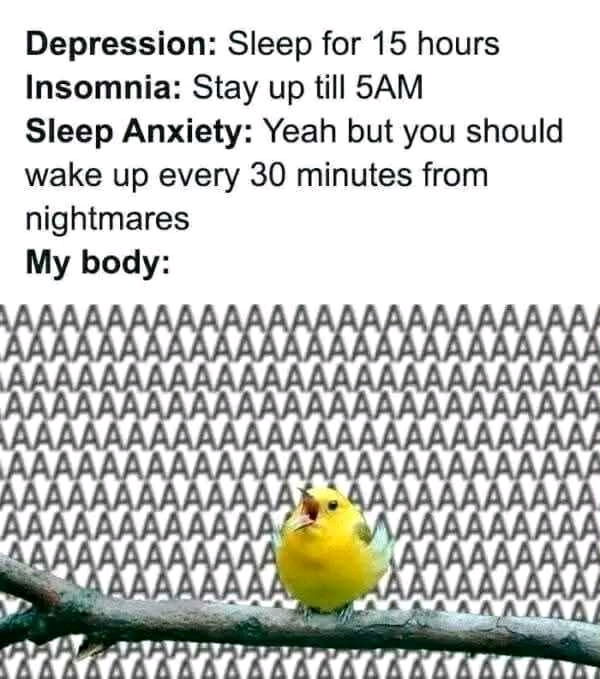 🤣