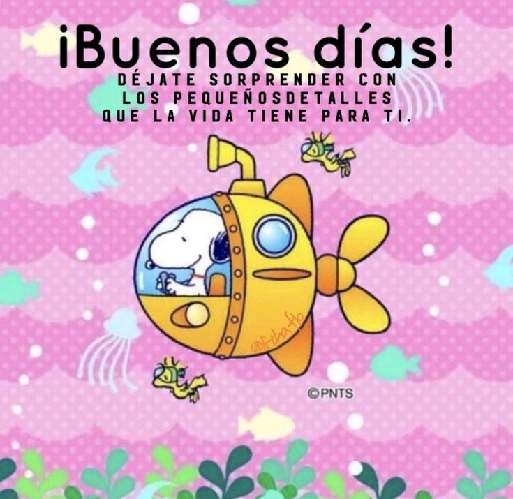 Feliz y bendecido miércoles!