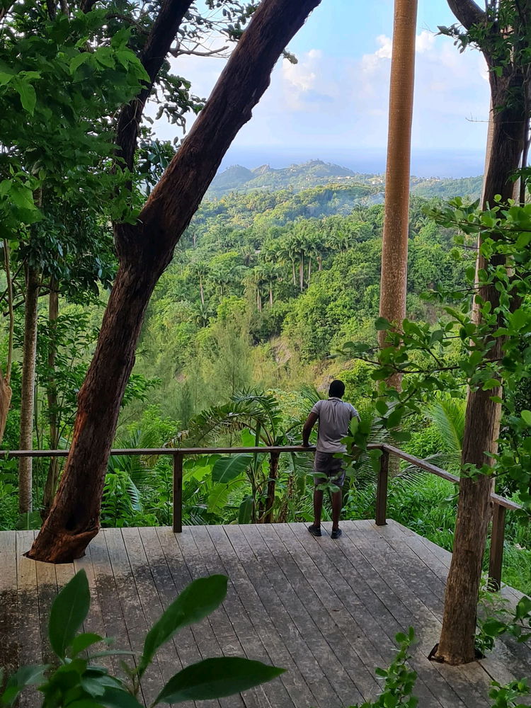 🍃