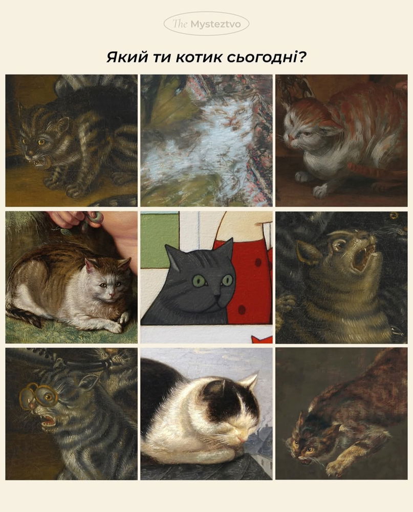🐾