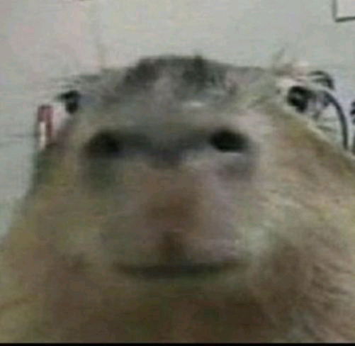 ALGUNA VEZ LOS ASALTARON?