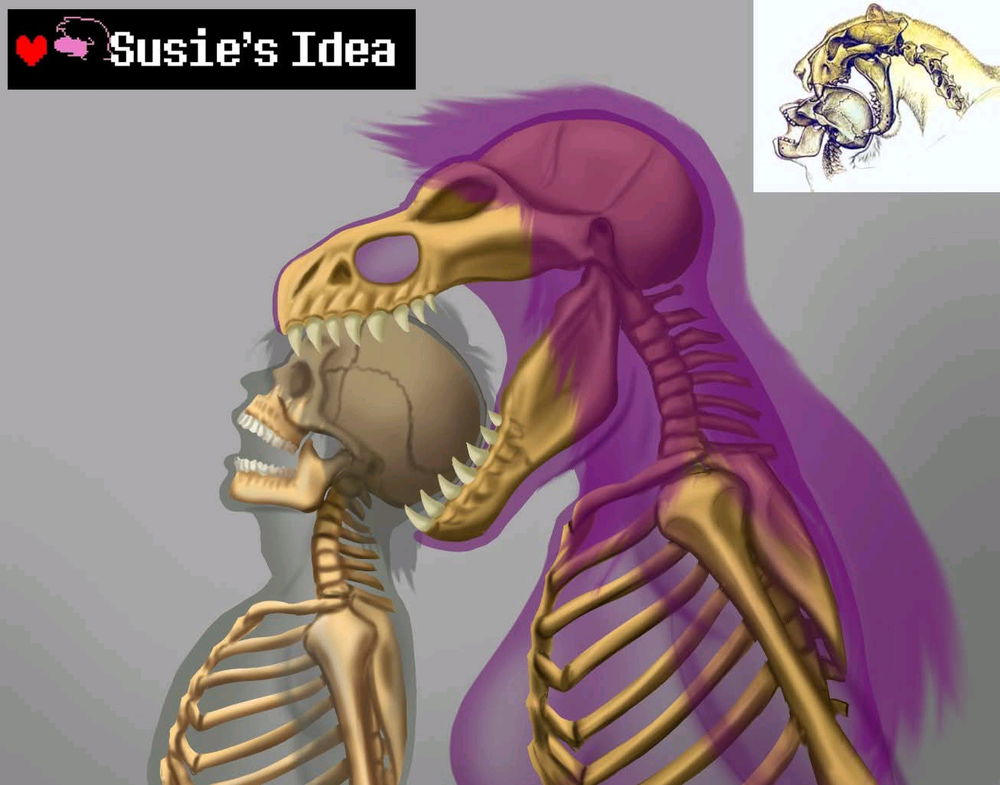 Susie's idea