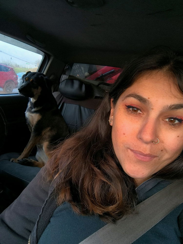 Roxy the dog going to work with us !