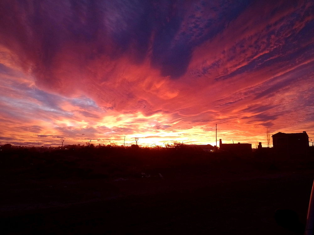 A qué les gusta sacar foto?