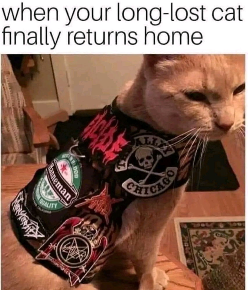 🏠👈😺