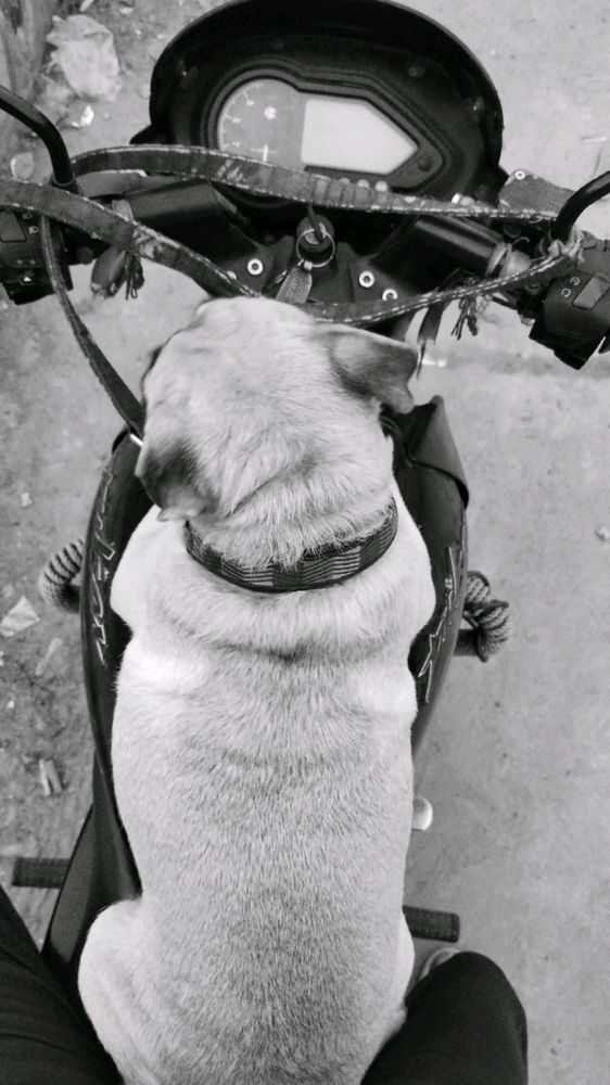 She's enjoying the ride