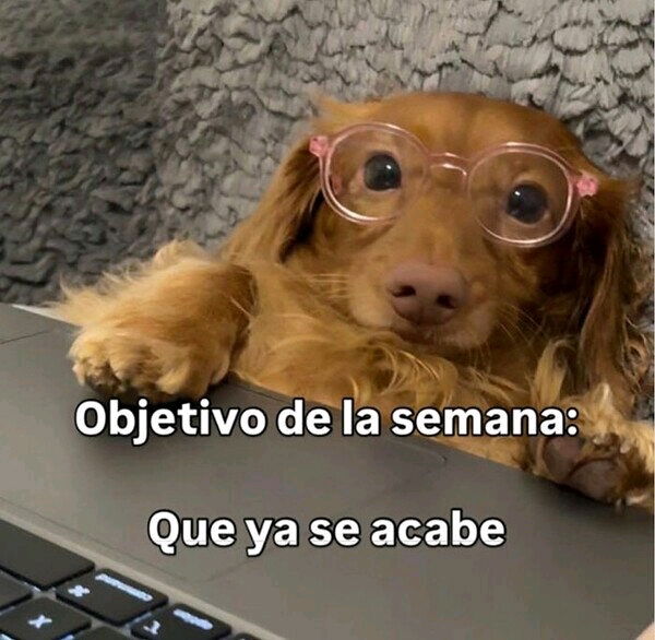 Que tragedia