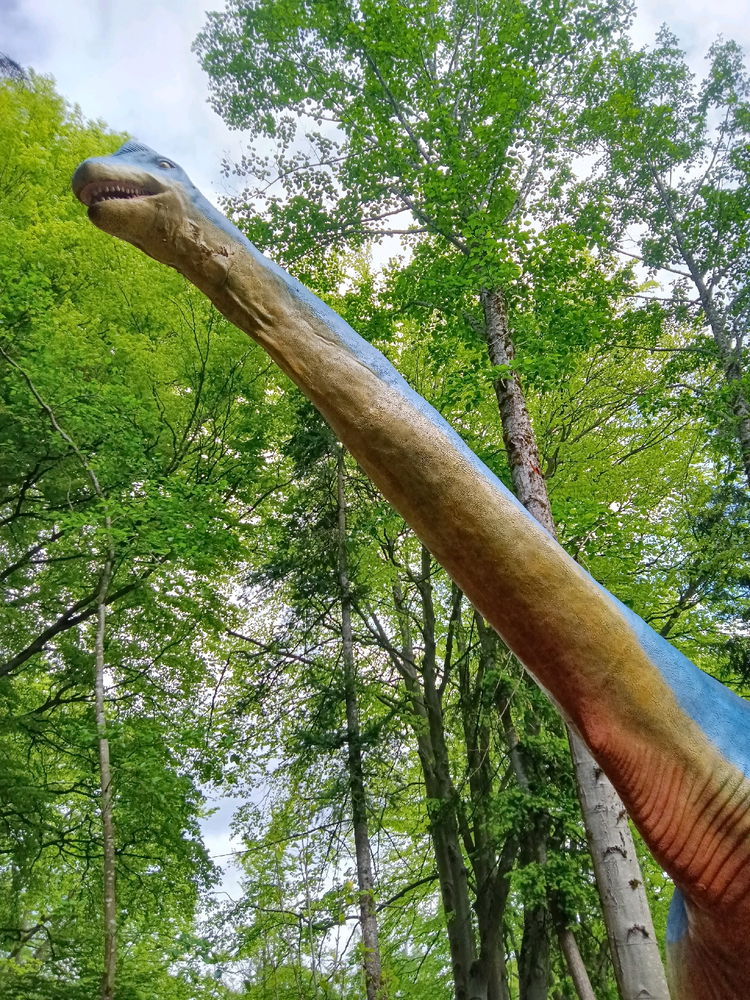 Woodland Park Zoo Dinosaur Discovery