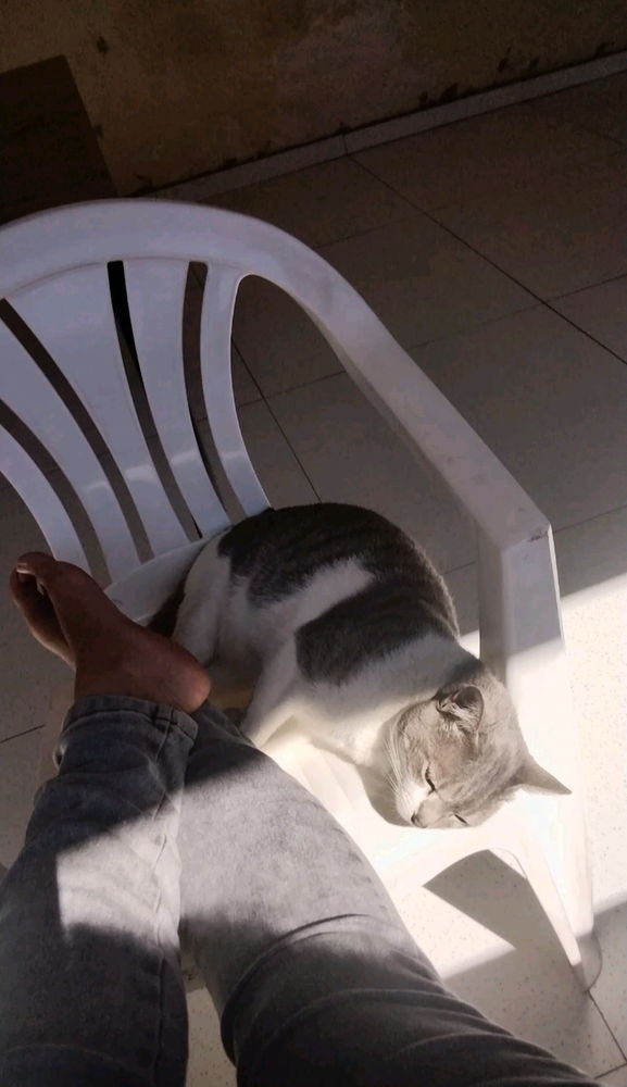 🐼💚