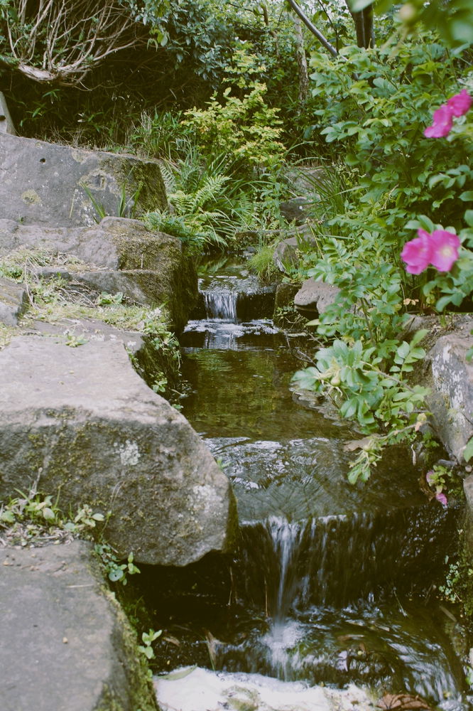 Just some pictures I like to take now and again