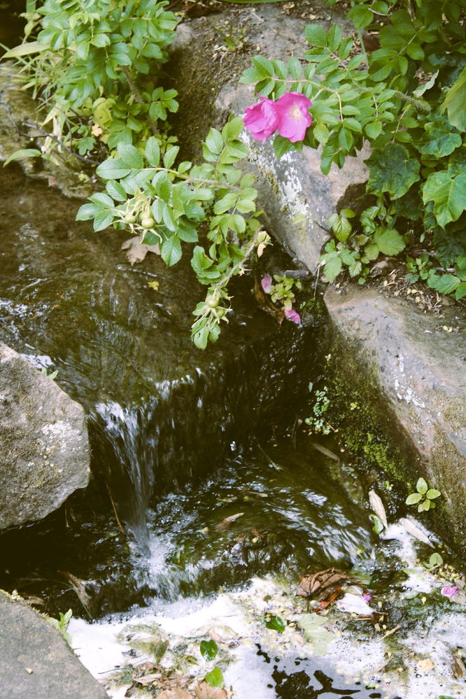 Just some pictures I like to take now and again