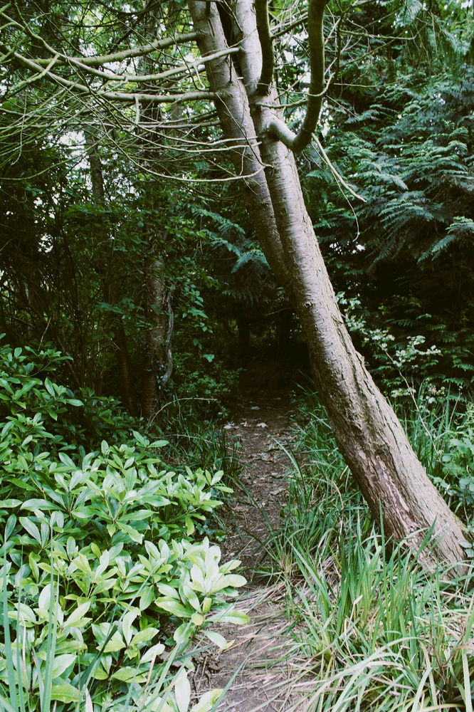 Just some pictures I like to take now and again