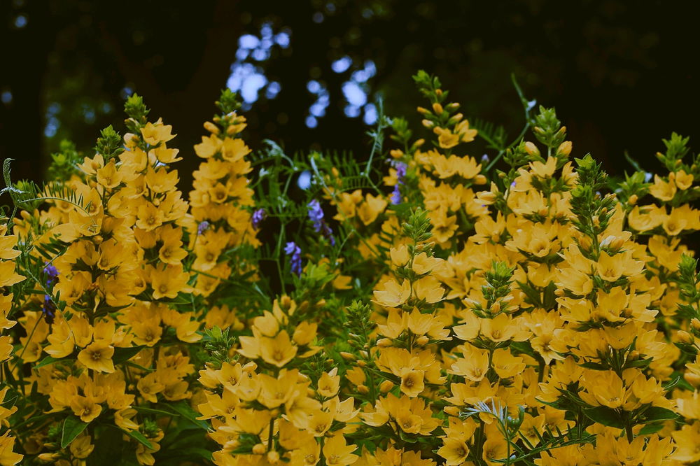 Just some pictures I like to take now and again