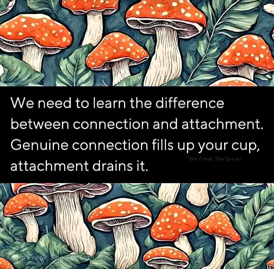 🌱🌱🌱🌱🌱