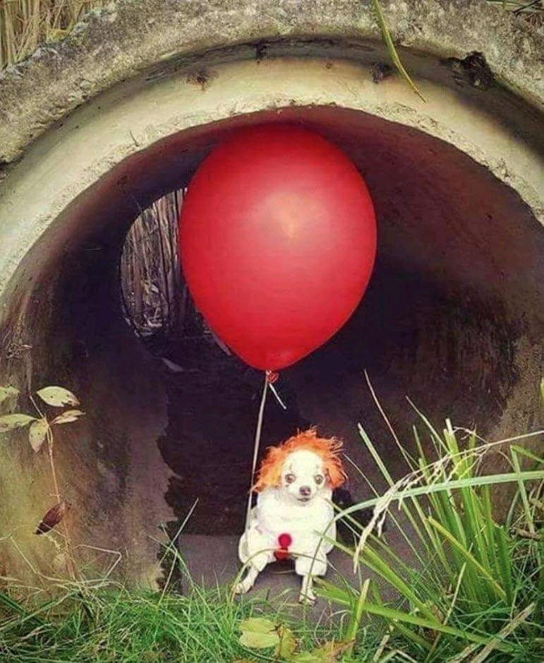 IT , A coisinha 😂😂😂